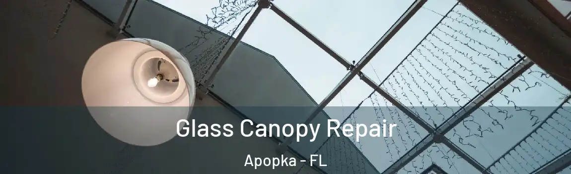 Glass Canopy Repair Apopka - FL
