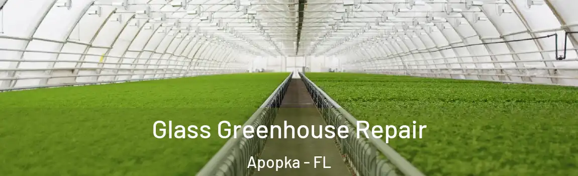 Glass Greenhouse Repair Apopka - FL