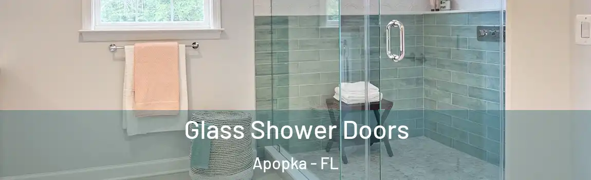  Glass Shower Doors Apopka - FL