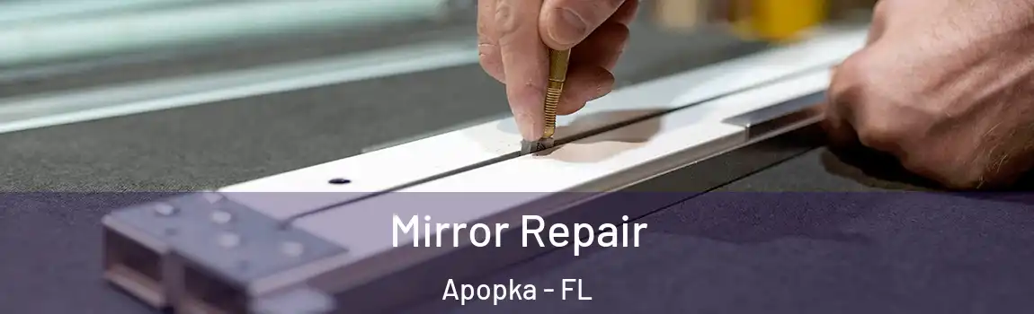 Mirror Repair Apopka - FL