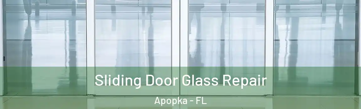  Sliding Door Glass Repair Apopka - FL