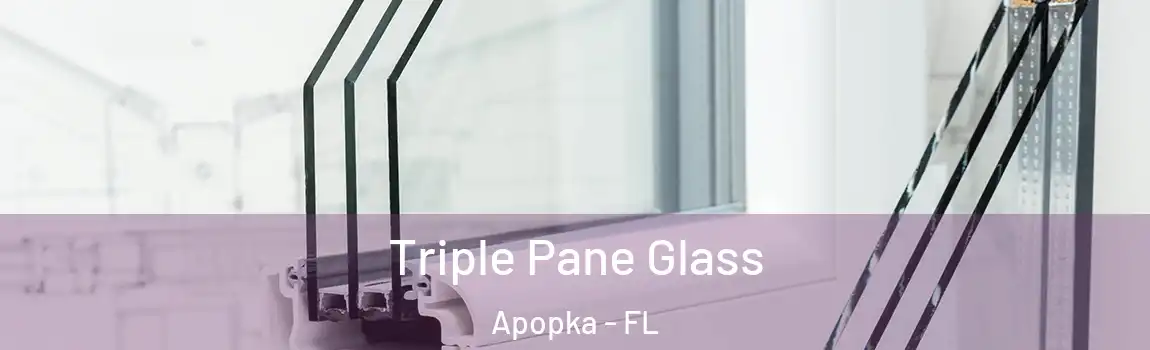  Triple Pane Glass Apopka - FL