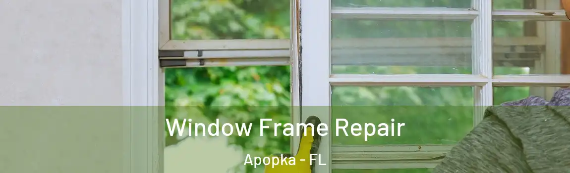  Window Frame Repair Apopka - FL