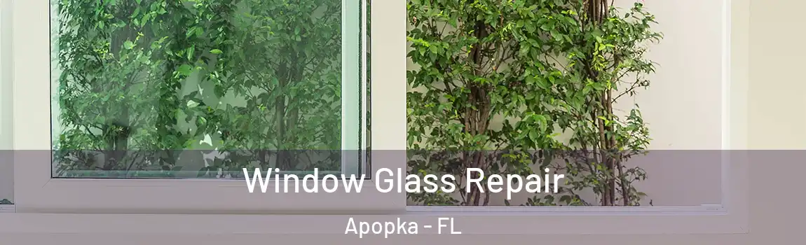  Window Glass Repair Apopka - FL