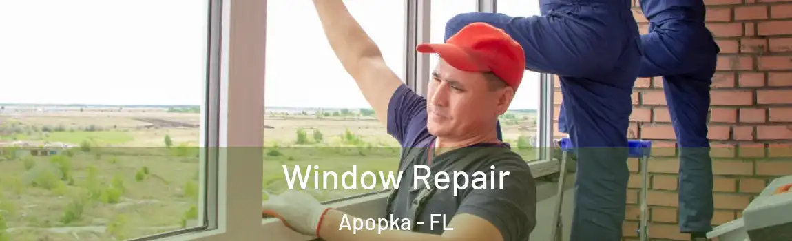  Window Repair Apopka - FL