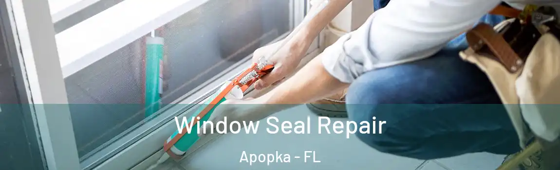  Window Seal Repair Apopka - FL
